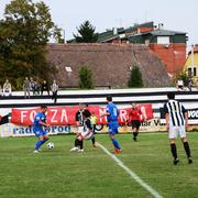 Slika 5