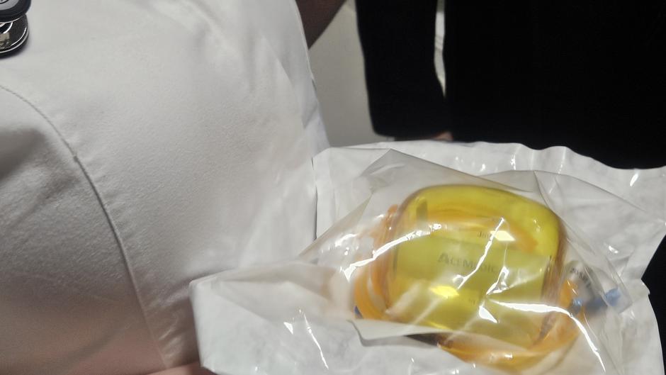  | Author: Željka Gavranović / PlusPortal