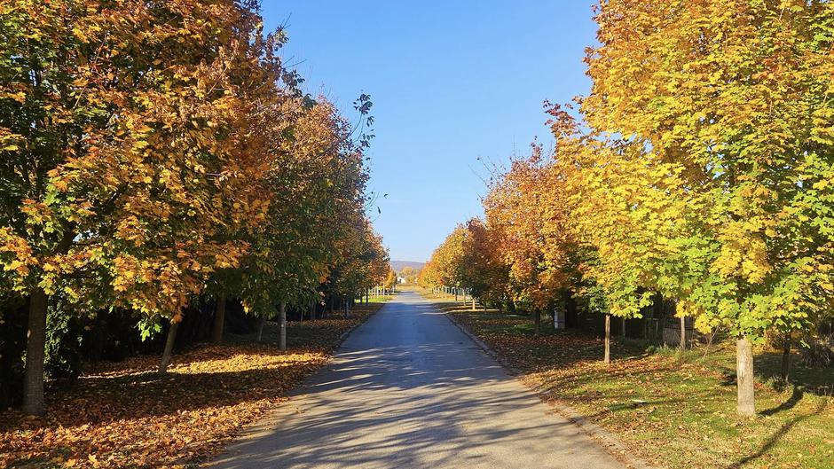  | Author: Željka Gavranović / PlusPortal