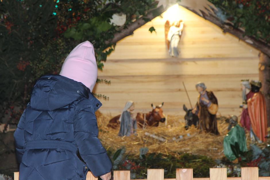  | Author: Luka Sudar / PlusPortal