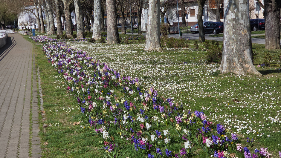  | Author: Željka Gavranović / PlusPortal