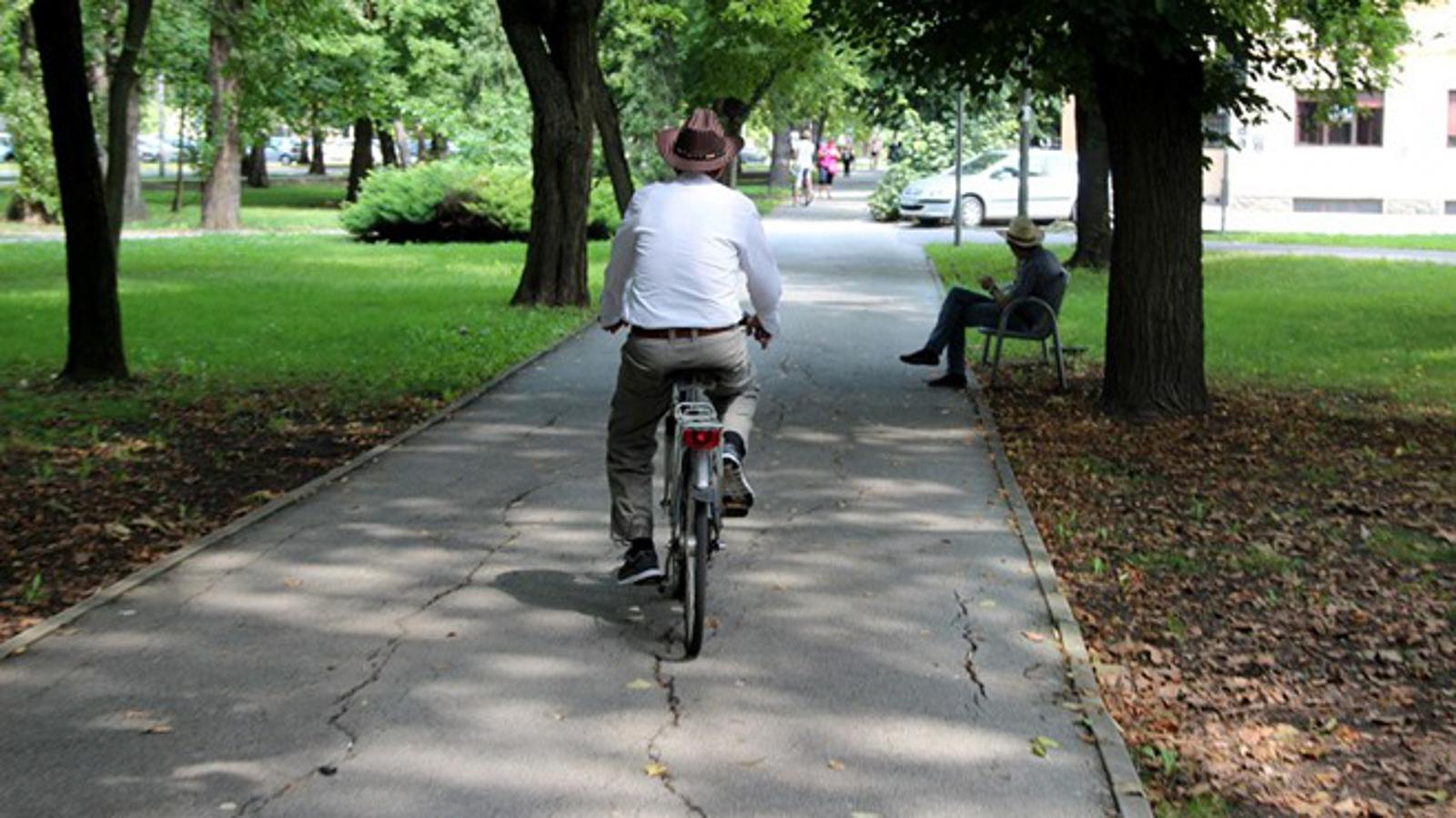 Gradski park Klasije u Slavonskom Brodu ljeti