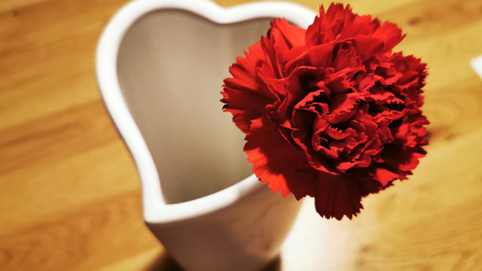 Karanfil - nekad omiljeni poklon za Osmi mart