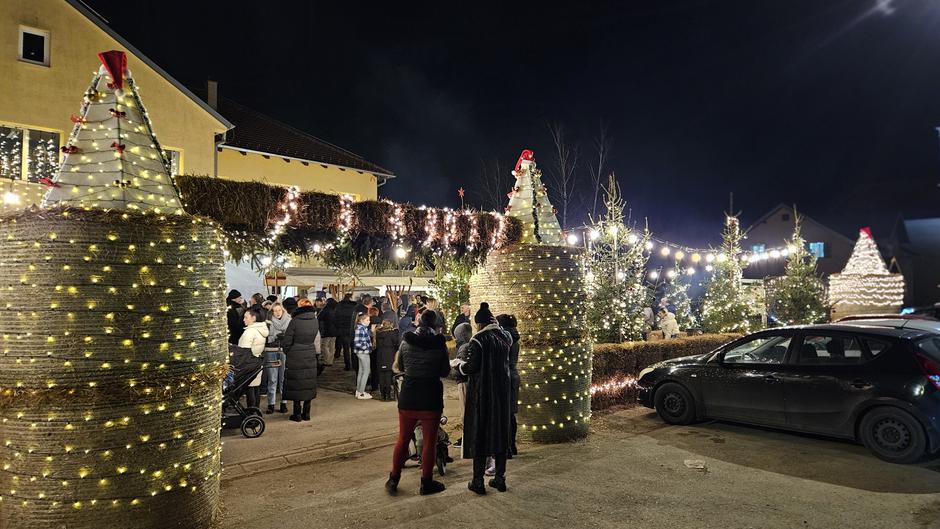  | Author: Ilustracija. Foto: Ž.G./PLUS