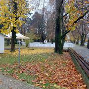 Popadalo lišće u centru grada Nove Gradiške