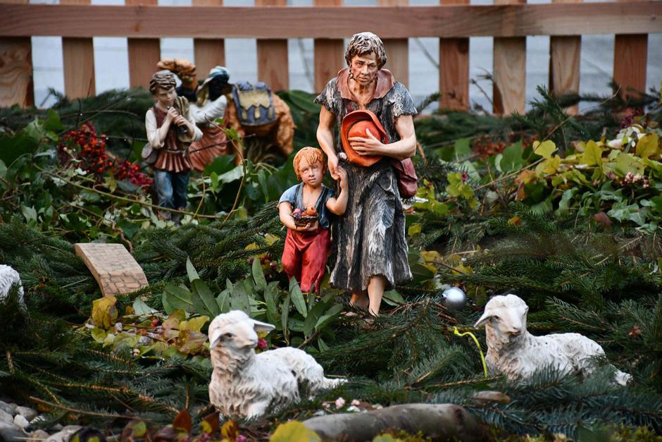  | Author: Ivica Galović/Pixsell