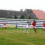 Slika 3