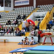Slika 8
