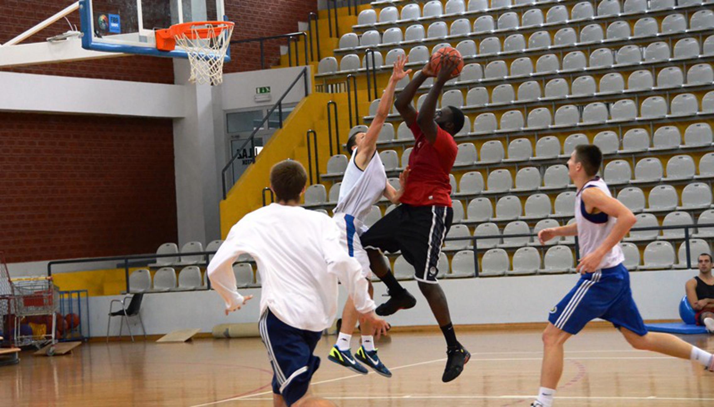 Slika