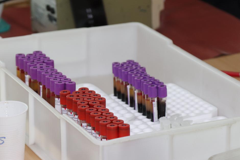  | Author: Ilustracija. Foto: Ž.G./PLUS