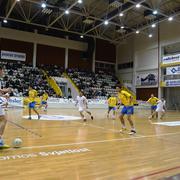 Slika 7