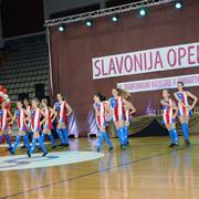 Slika 8