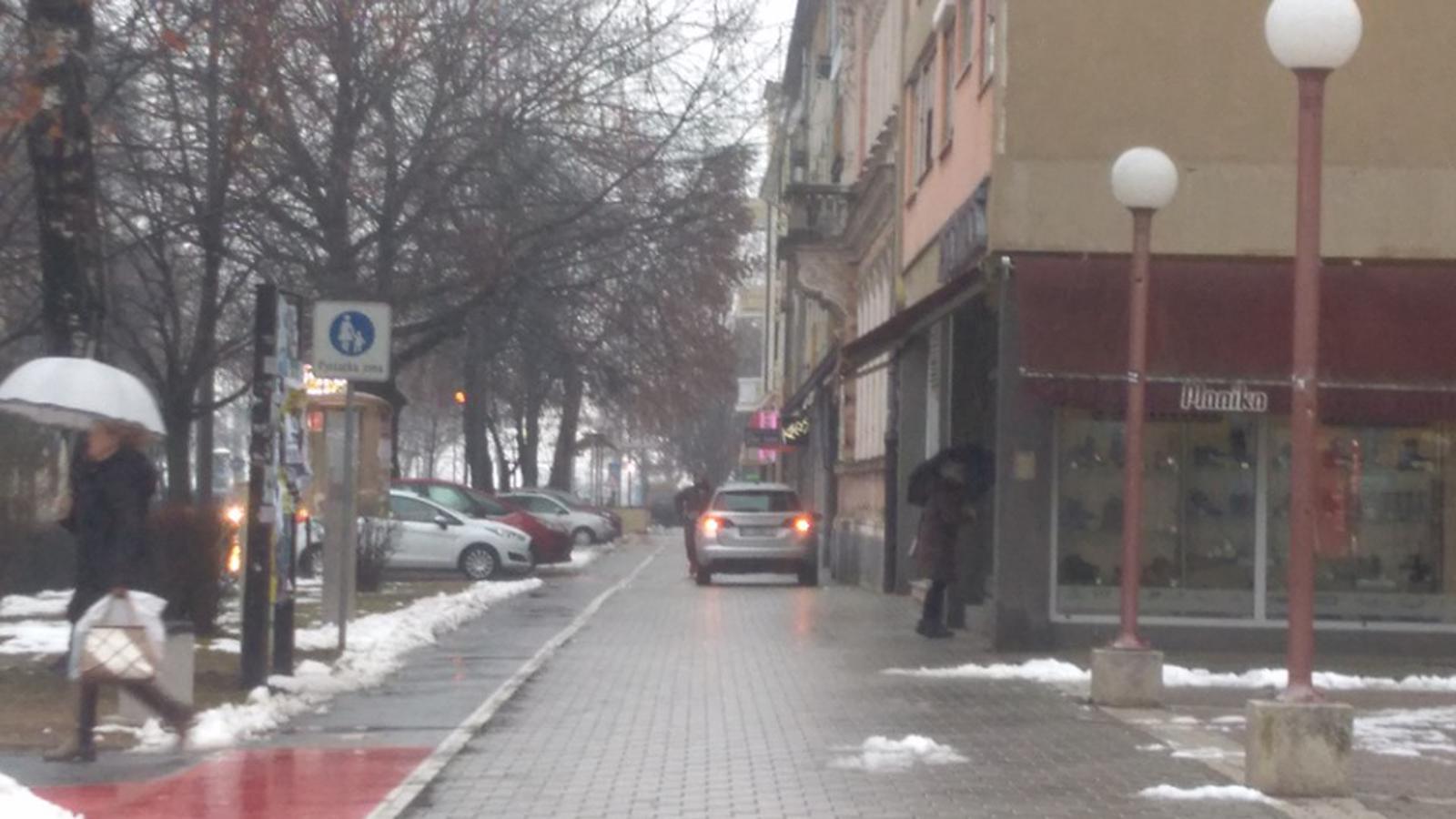 Čitatelj