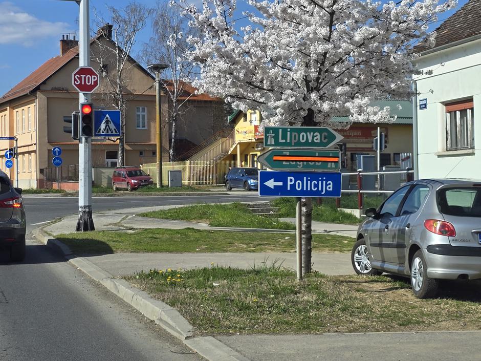  | Author: PlusPortal