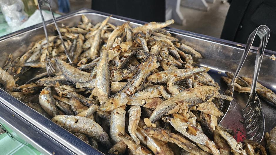  | Author: Željka Gavranović / PlusPortal