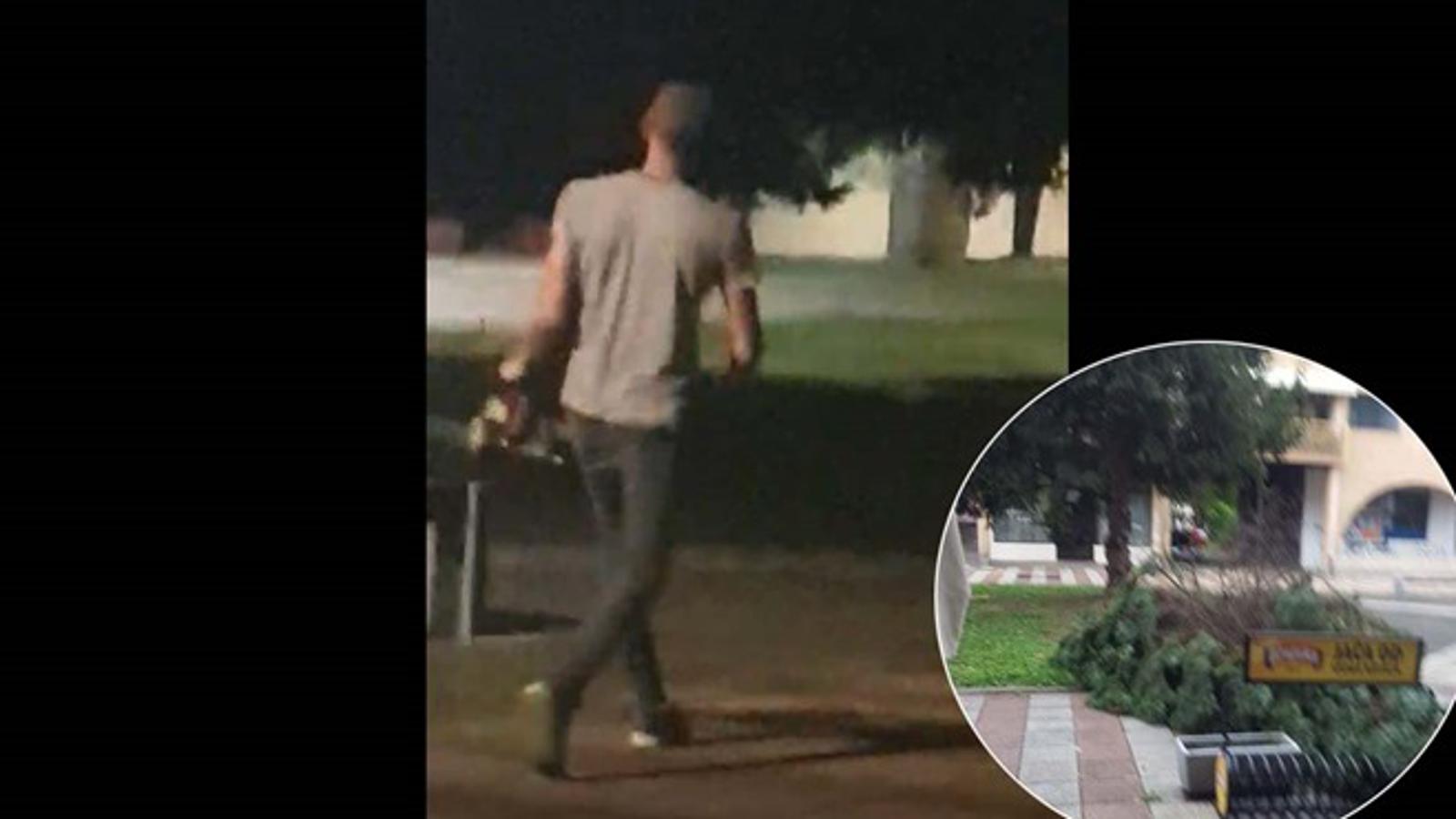 Početak 'masakra' stabla motornom pilom