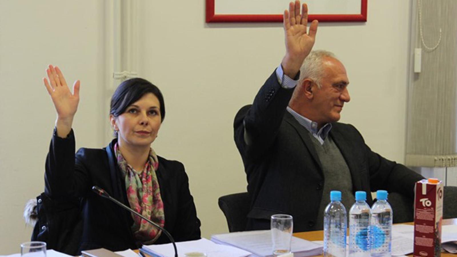 Ilijana Vrbat Pejić i Boro Grubišić - oporbeni vijećnici glasuju 'protiv'