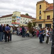 Slika 5