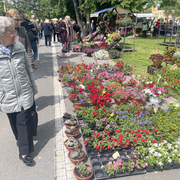 Festival cvijeća, Osijek, 2023.