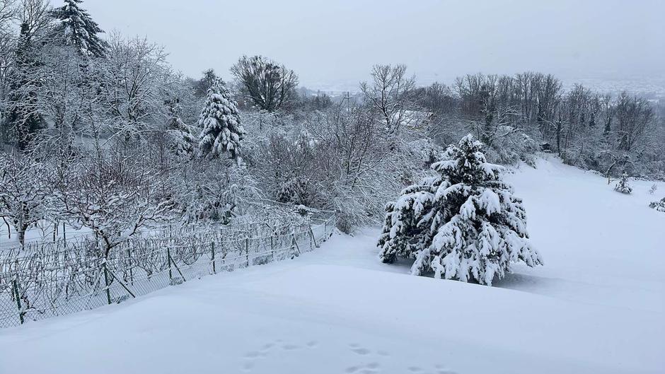  | Author: PlusPortal