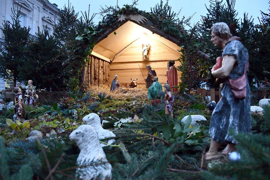  | Author: Ivica Galović/Pixsell