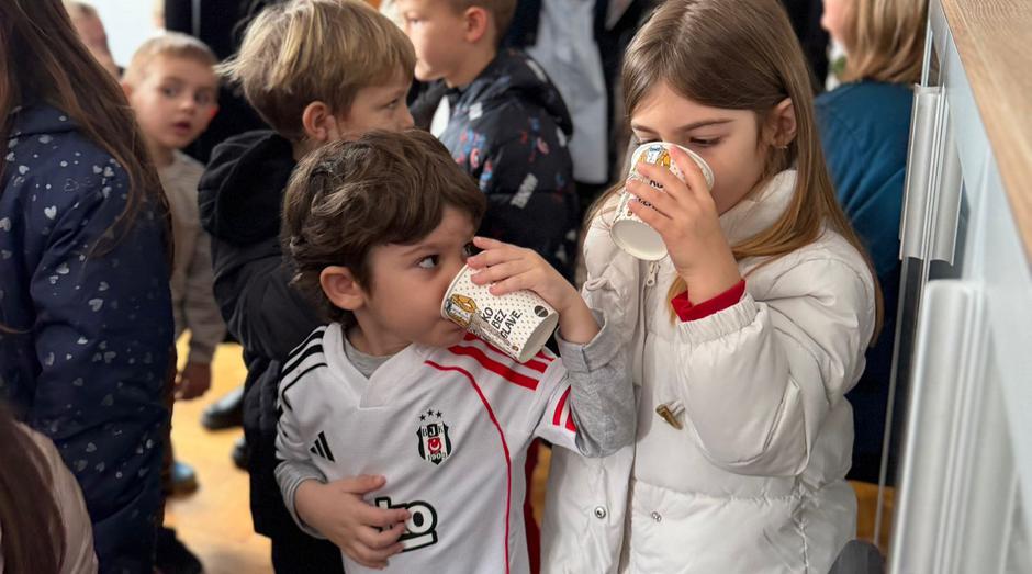  | Author: Irena Vukas Cufalar