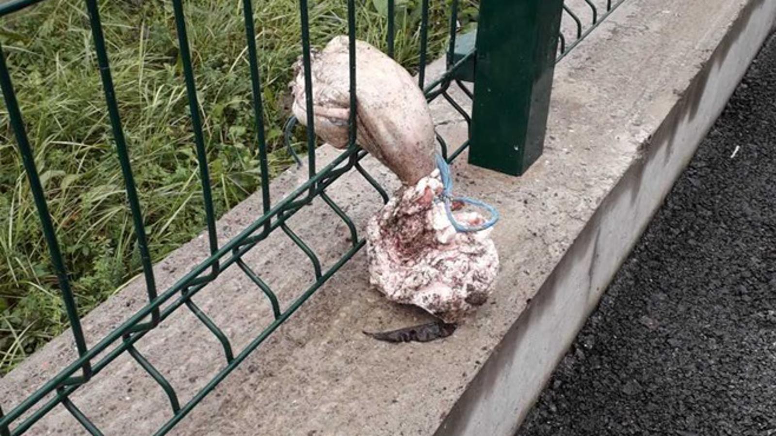 Otpad koji su građani ostavili na ogradi reciklažnog dvorišta na Koloniji