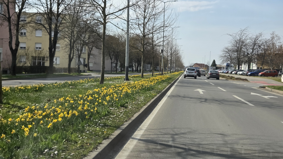  | Author: Željka Gavranović / PlusPortal