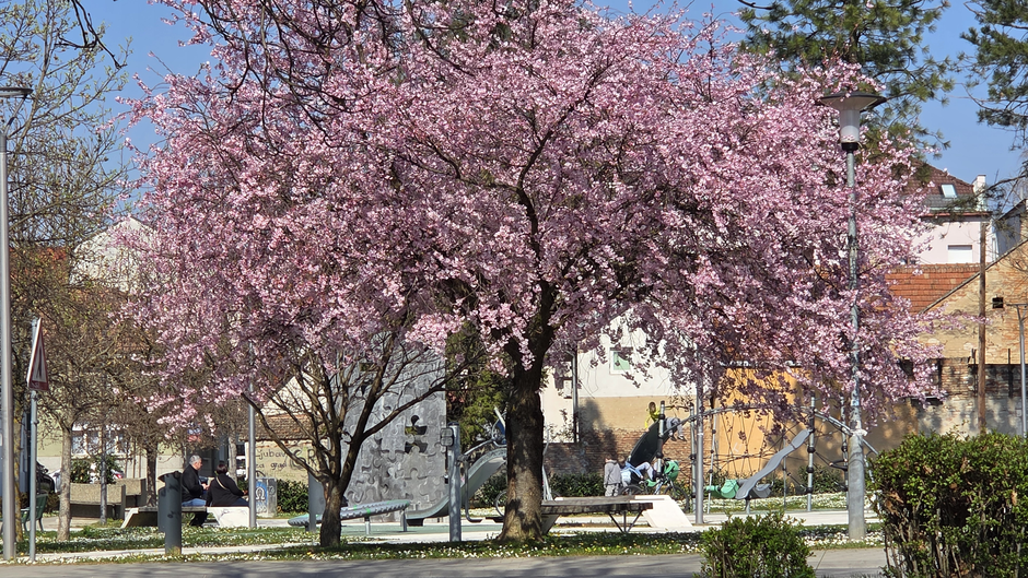  | Author: Željka Gavranović / PlusPortal