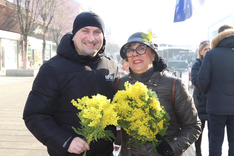  | Author: Željka Gavranović / PlusPortal