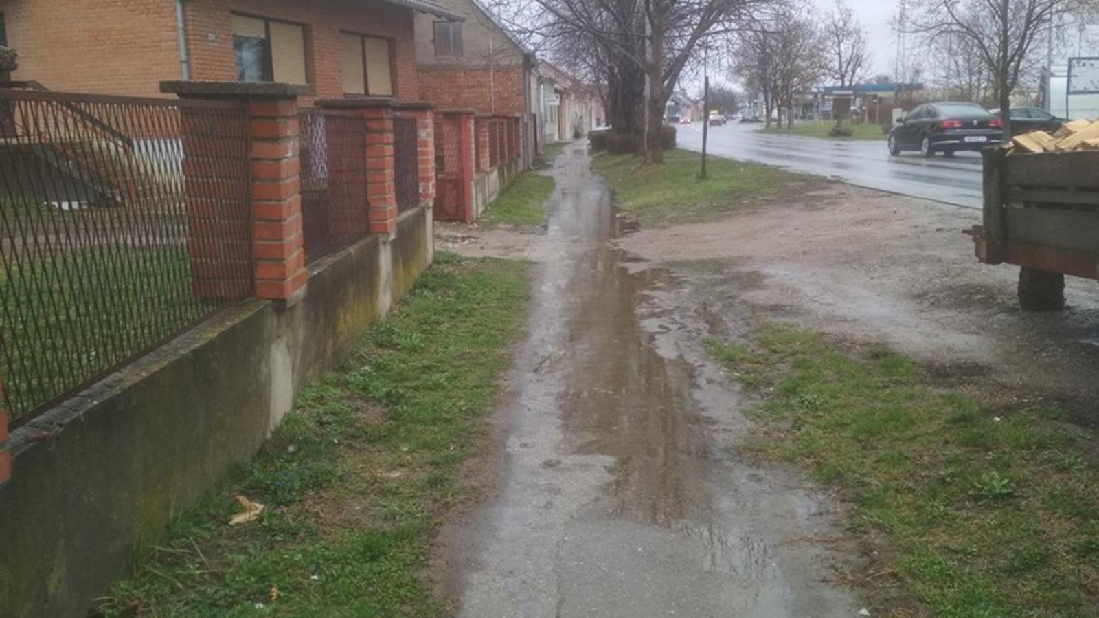 Čitatelj SBplus-a