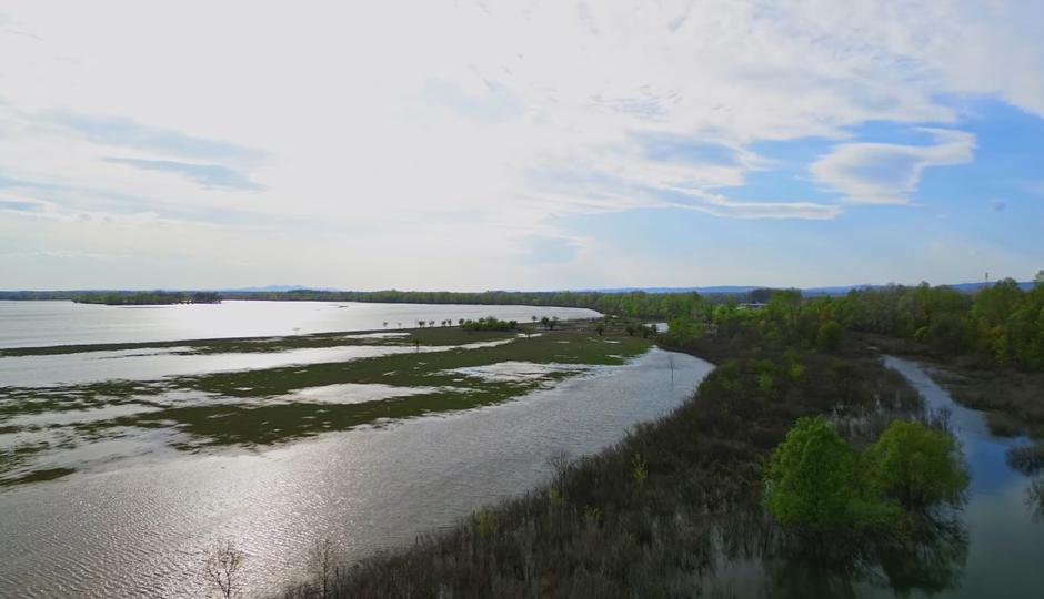  | Author: ScreenShot/D. Soldo za BED