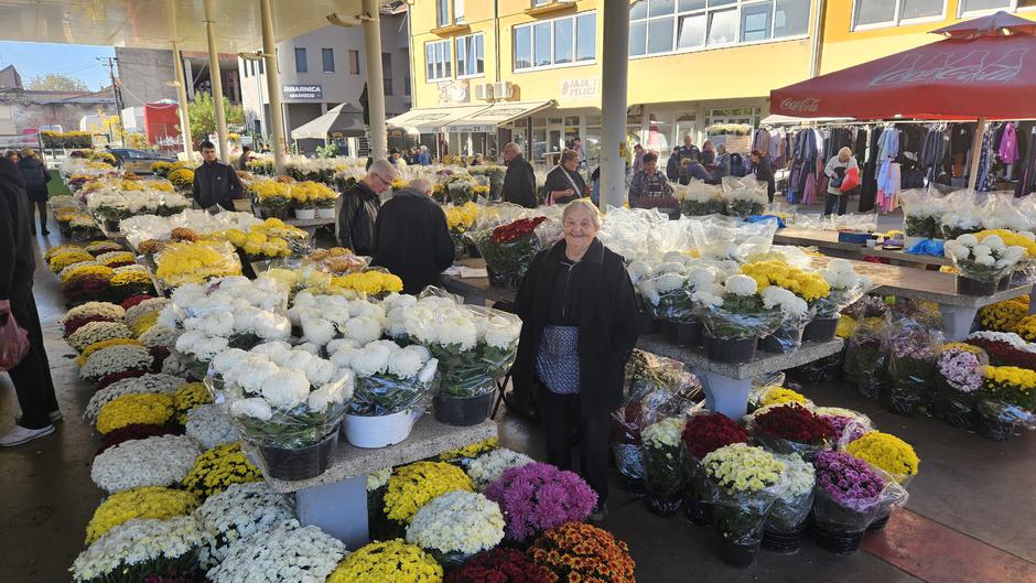 | Author: Željka Gavranović / PlusPortal