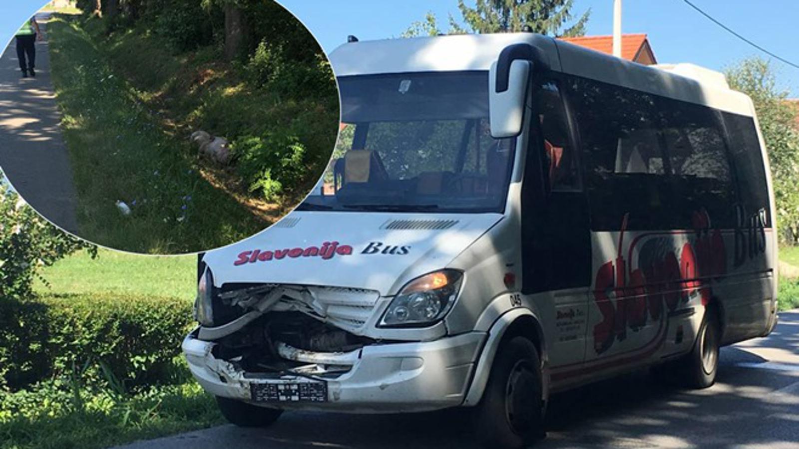 Nesretne su životinje nakon naleta autobusa završile u kanalu