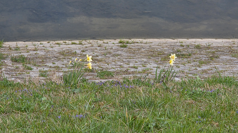  | Author: Željka Gavranović / PlusPortal