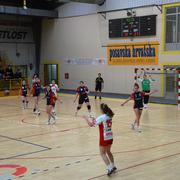 Slika 1