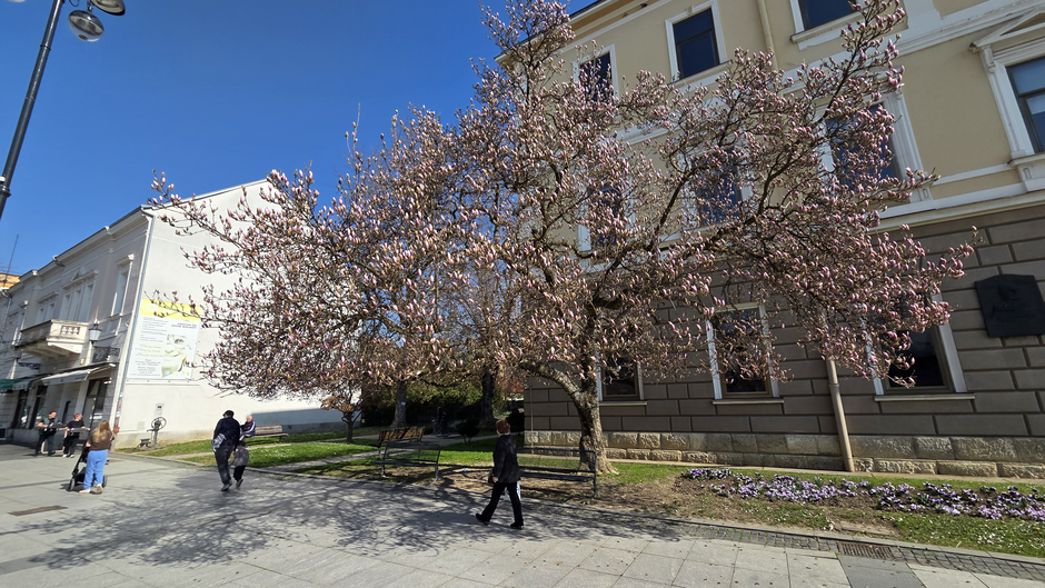  | Author: Željka Gavranović / PlusPortal