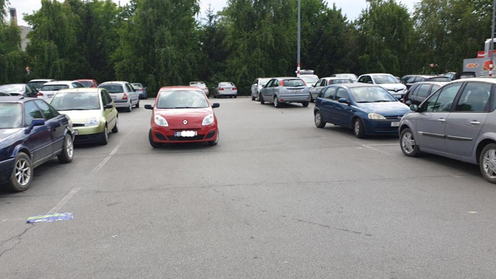 Čitateljica SBplus-a