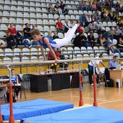 Slika 7