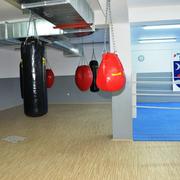 Slika 9