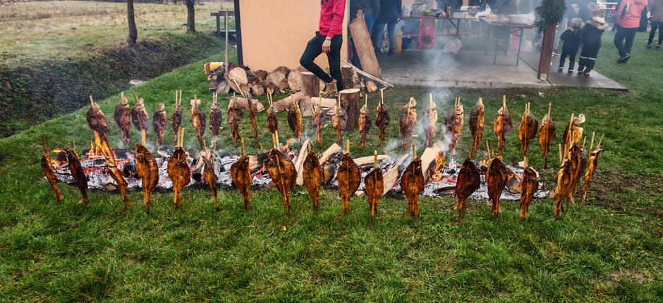  | Author: Foto: HPD "Gojzerica" Požega