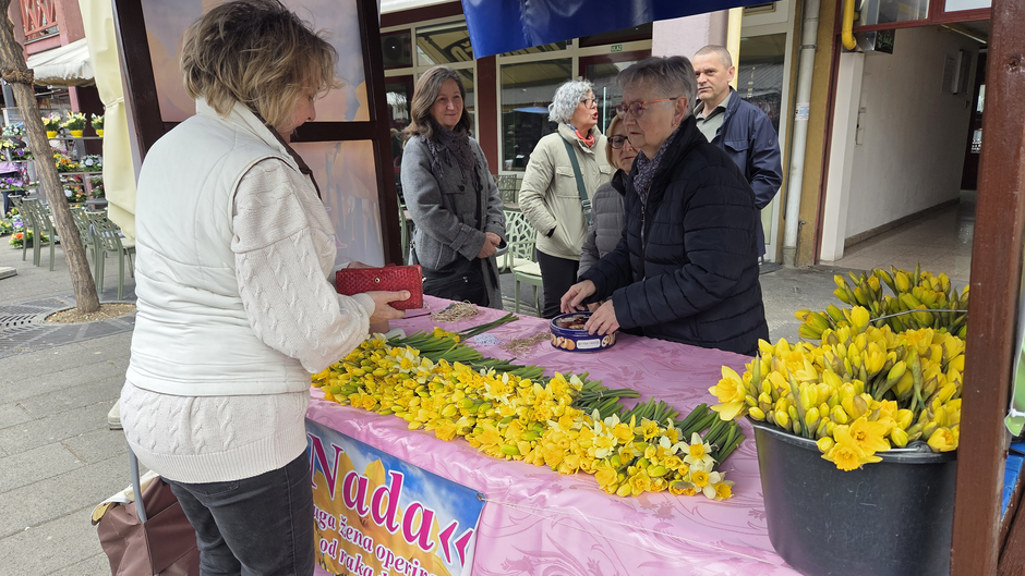  | Author: Željka Gavranović / PlusPortal