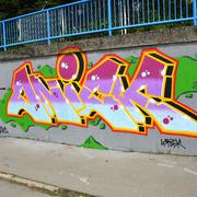 Slika 24